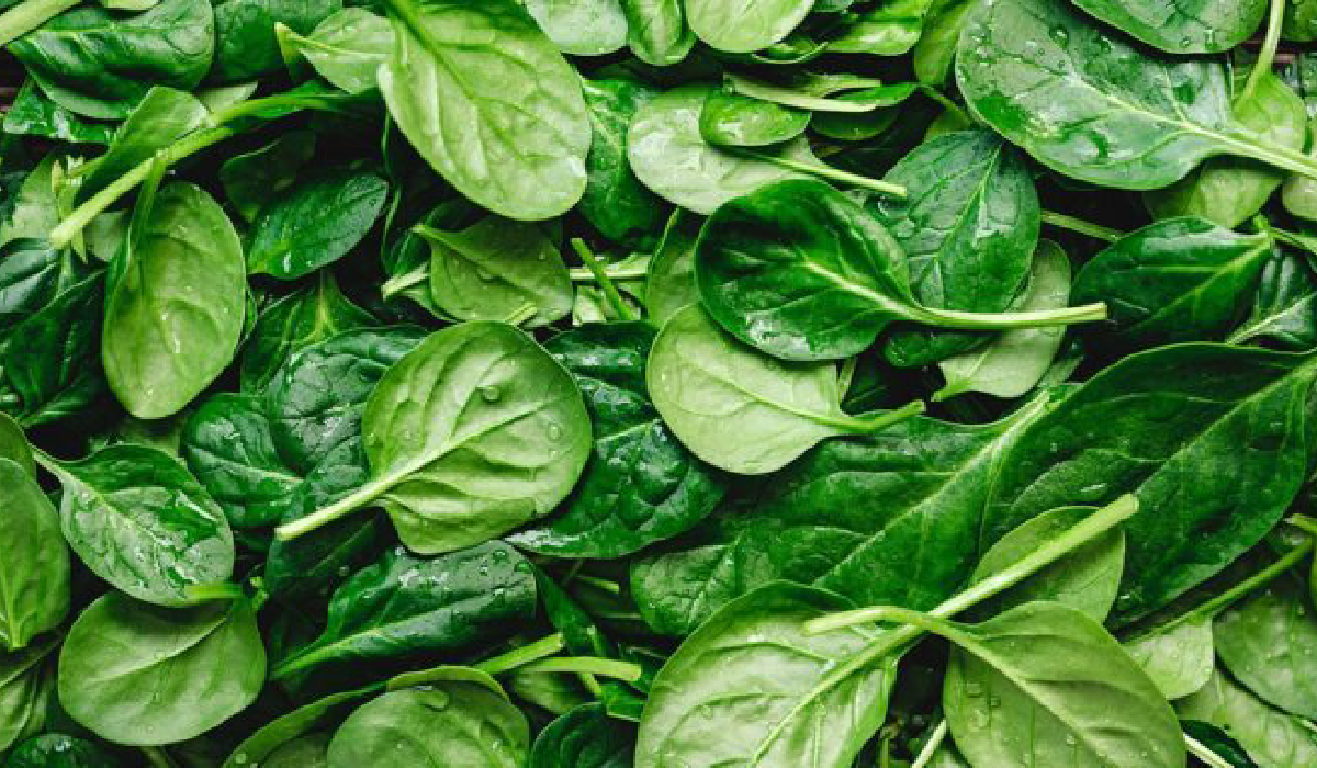 The 20 healthiest vegetables on Earth